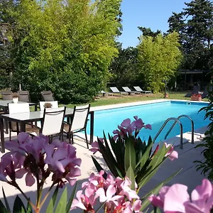 Mas La Provence LʼIsle-sur-la-Sorgue
